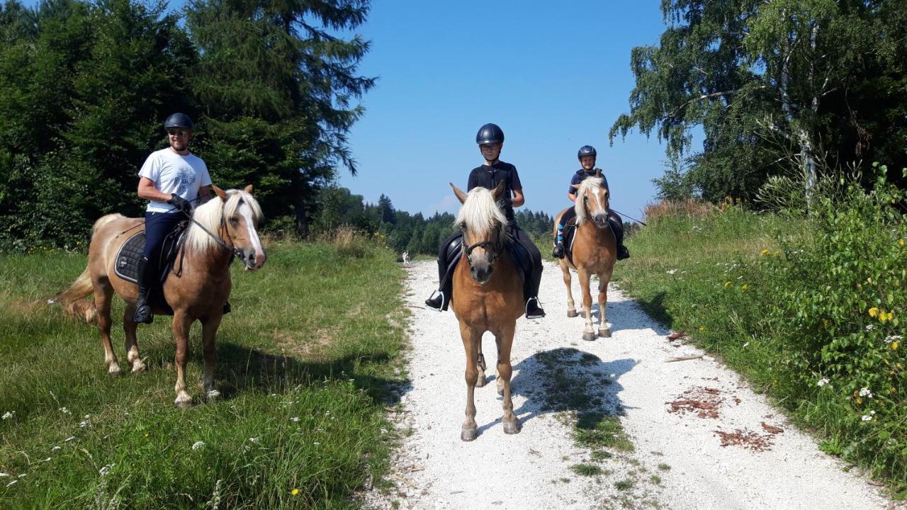 Willa Marianna Ladek-Zdroj Bagian luar foto