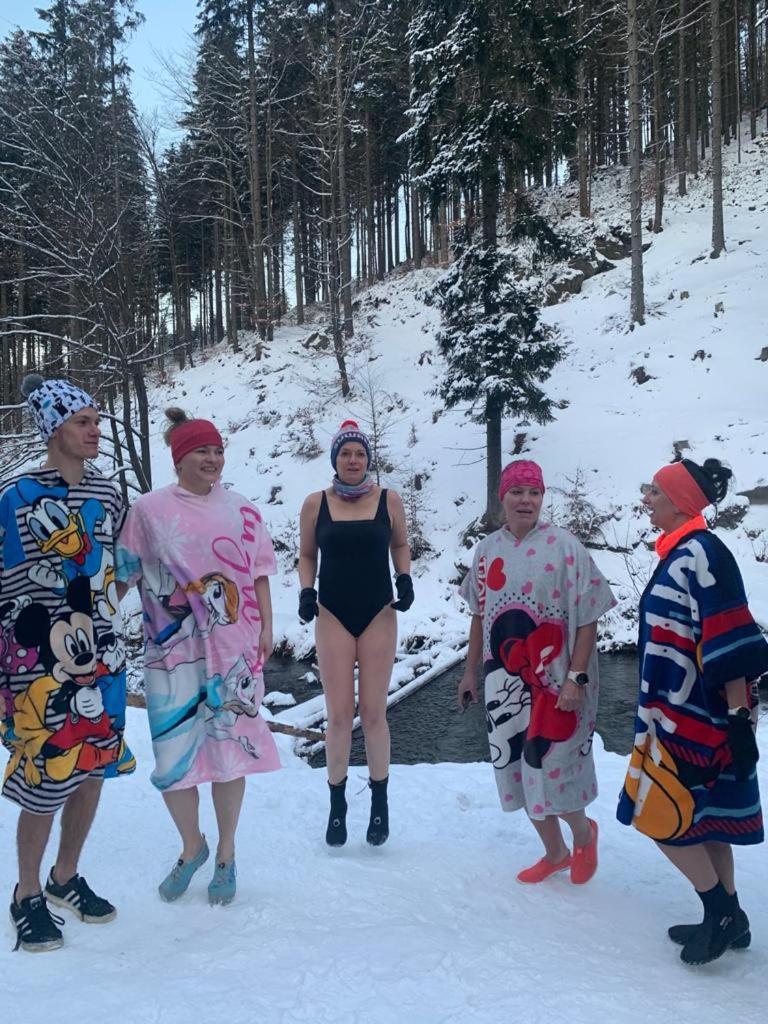 Willa Marianna Ladek-Zdroj Bagian luar foto